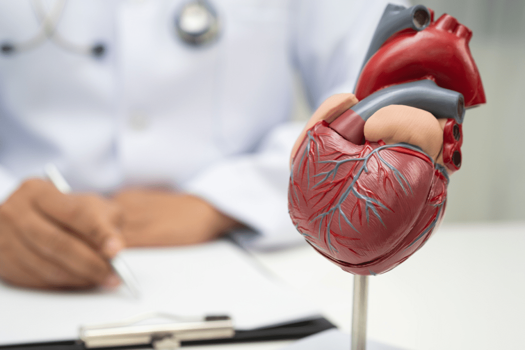 A model of an anatomical heart with a blurred image of a cardiologist taking notes in the background.